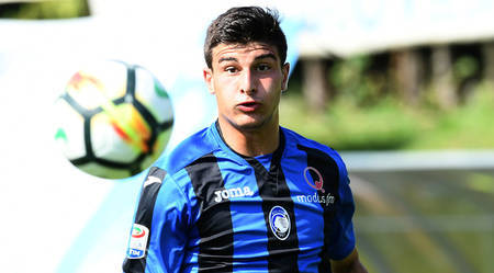 篮球明星参 篮球明星参