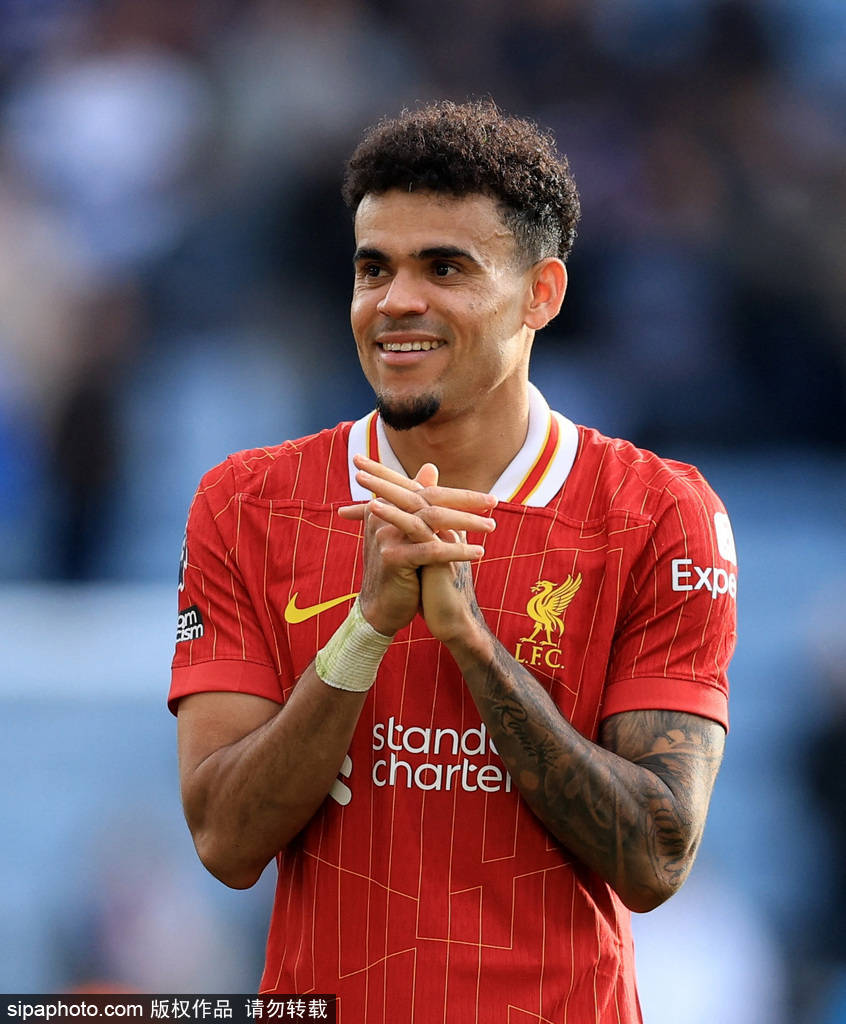 关键词已自 关键词已自